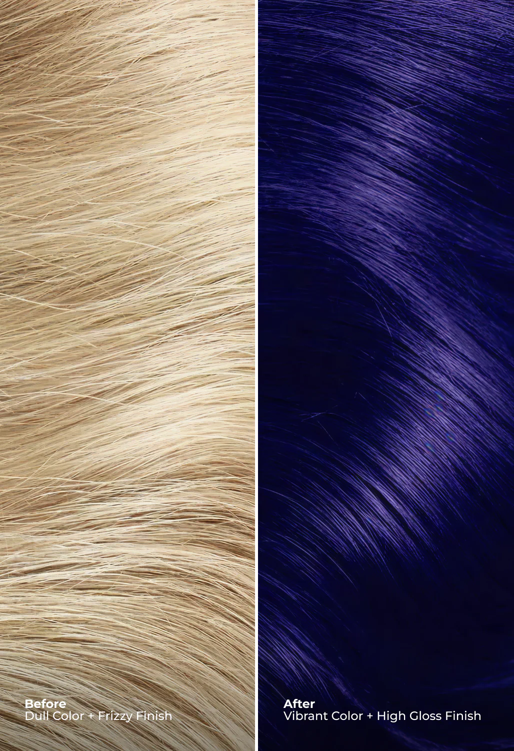 Blue + Purple Shift - Image 6
